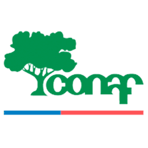 Corporación Nacional Forestal - Conaf