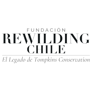 Rewilding Chile