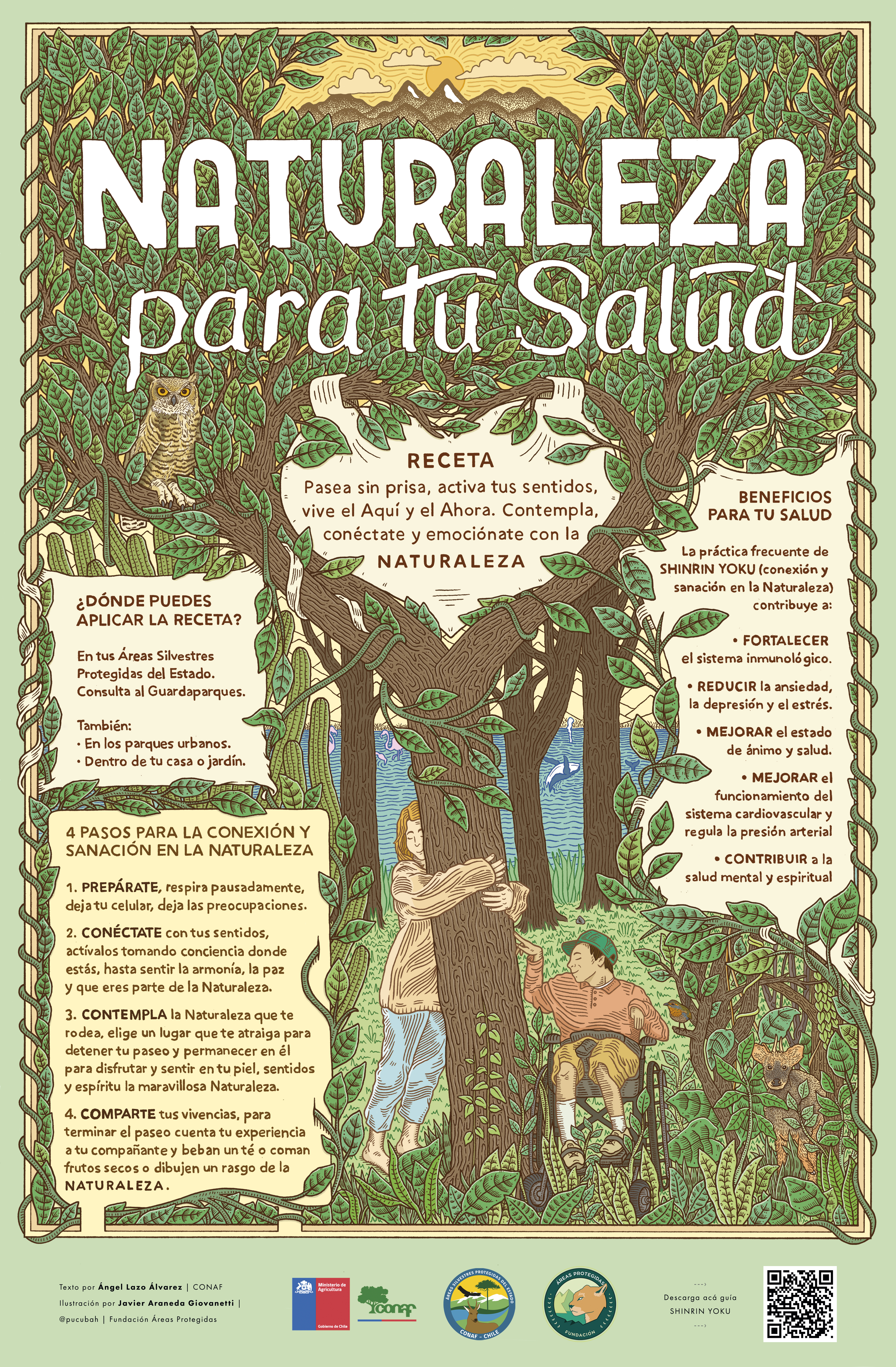 Poster Shinrin Yoku